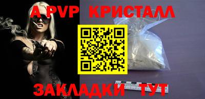 спайс Кингисепп