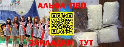 стаф Кинель
