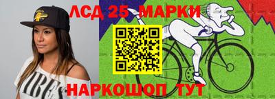спайс Кингисепп