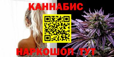 спайс Кингисепп