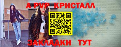 спайс Кингисепп