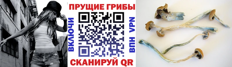 Псилоцибиновые грибы мухоморы  что такое   Котельники 