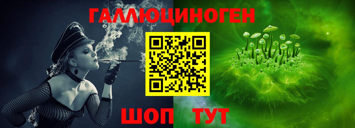 Котельники  Псилоцибиновые грибы Psilocybe  дарнет шоп  Вход с VPN  Галлюциногенные грибы прущие грибы 